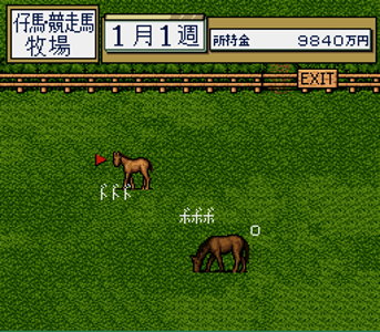 Thoroughbred Breeder 1