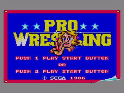 Pro Wrestling