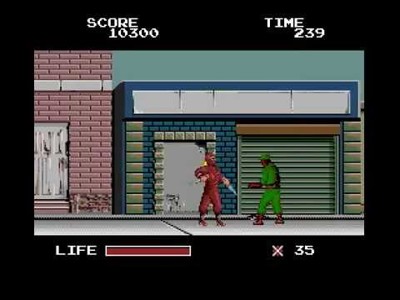 The Ninja Warriors
