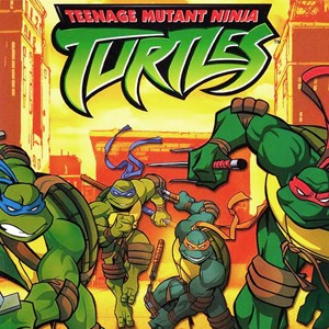 Teenage mutant ninja turtles