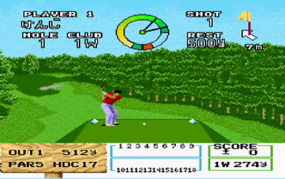 NAMCOT Open Golf