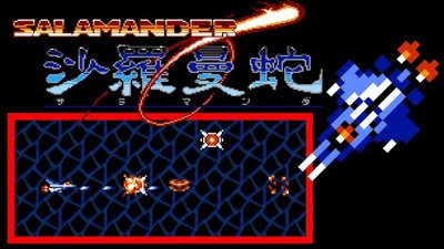 Salamander 1