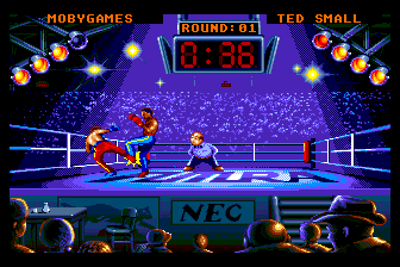 Panza Kick Boxing