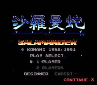 Salamander