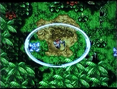 YS-5 Expert
