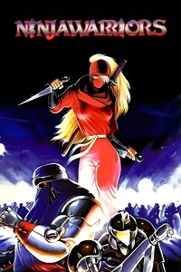 Ninja Warriors Again