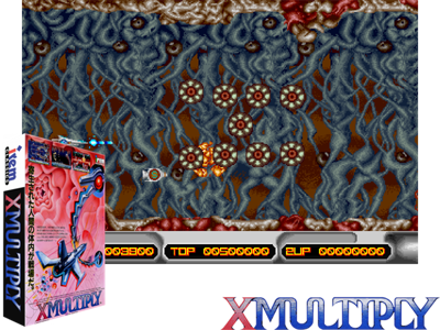 X Multiply