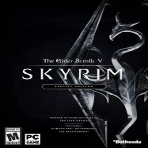The Elder Scrolls V Skyrim Special Edition MULTi5-ElAmigos