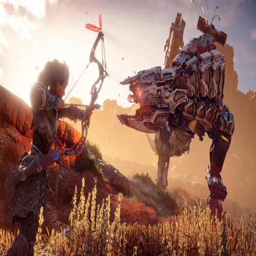 Giám đốc studio: Horizon từng được nghĩ là game nhiều người chơi