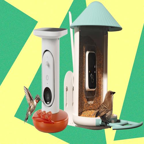 Top máng ăn chim có camera tốt nhất 2025 — Đánh giá và thử nghiệm