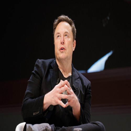 Grok: Elon Musk 'tốt hơn hầu hết, trừ Shohei Ohtani'