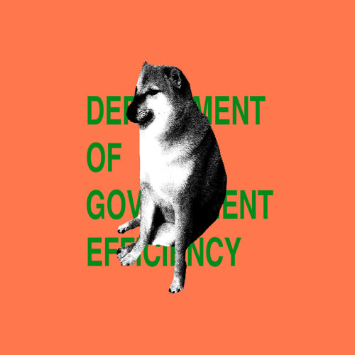 DOGE đã biến mất, để lại chỉ là hỗn loạn