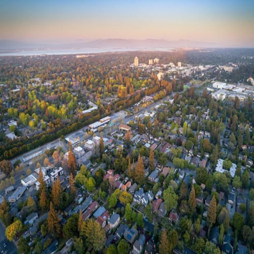 Tương lai sẽ được giải thích cho bạn ở Palo Alto