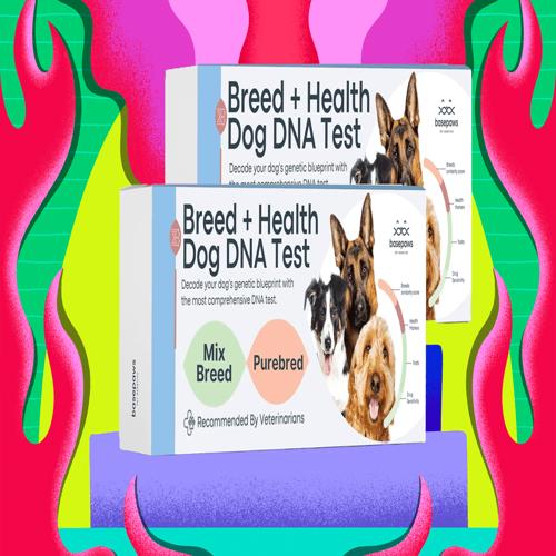 Basepaws giảm 50% bộ kit xét nghiệm ADN cho thú cưng mùa giảm giá 2025