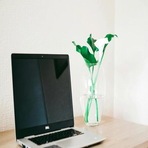 Tặng năng suất: Laptop Dell kèm Microsoft Office 2021 — một gợi ý quà công sở