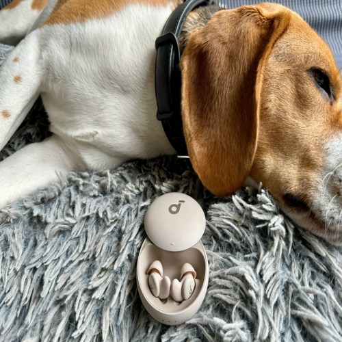 Tai nghe chống ngáy Soundcore Sleep A20 giảm xuống mức thấp kỷ lục
