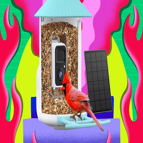 Amazon giảm mạnh Cyber Monday cho Birdfy Smart Bird Feeders 2025