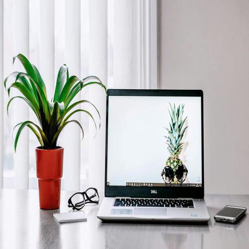 Cần Microsoft Office? Giấy phép 2019 đang giảm còn $20 nhân Cyber Monday